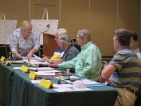 Certifying election and other ballot issues