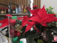 36Decor-Artsy-Poinsettia-Shot