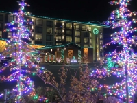 4Casino-Hotel-Lights