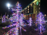 7Casino-Hotel-Lights-II