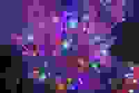 1031