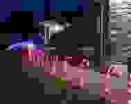 1219