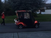 Lighted golf cart and lighted walker.