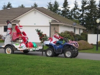 Blue reindeer and sled.
