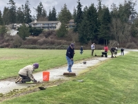 Clearing moss, grass, dirt from the path