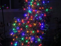Christmas lights 2020 bush sparkle