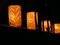 Christmas lights 2020 luminaries