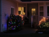 Christmas lights 2020 bushes