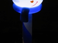 Christmas lights 2020 snowman