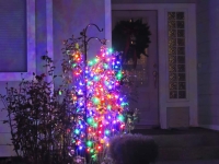 Christmas lights 2020 bush