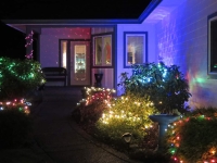 Christmas lights 2020 bushes