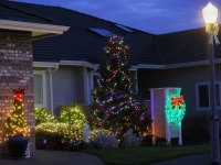Christmas lights 2020 wreath and bushes