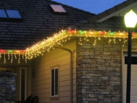 Christmas lights 2020 border closeup