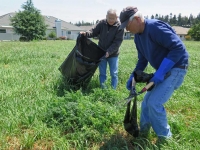 Neighbor teams tackled noxious weeds in the green space