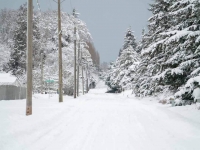Woodcock Road looking east