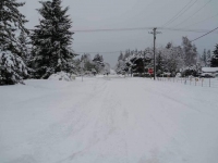 Woodcock Road looking west